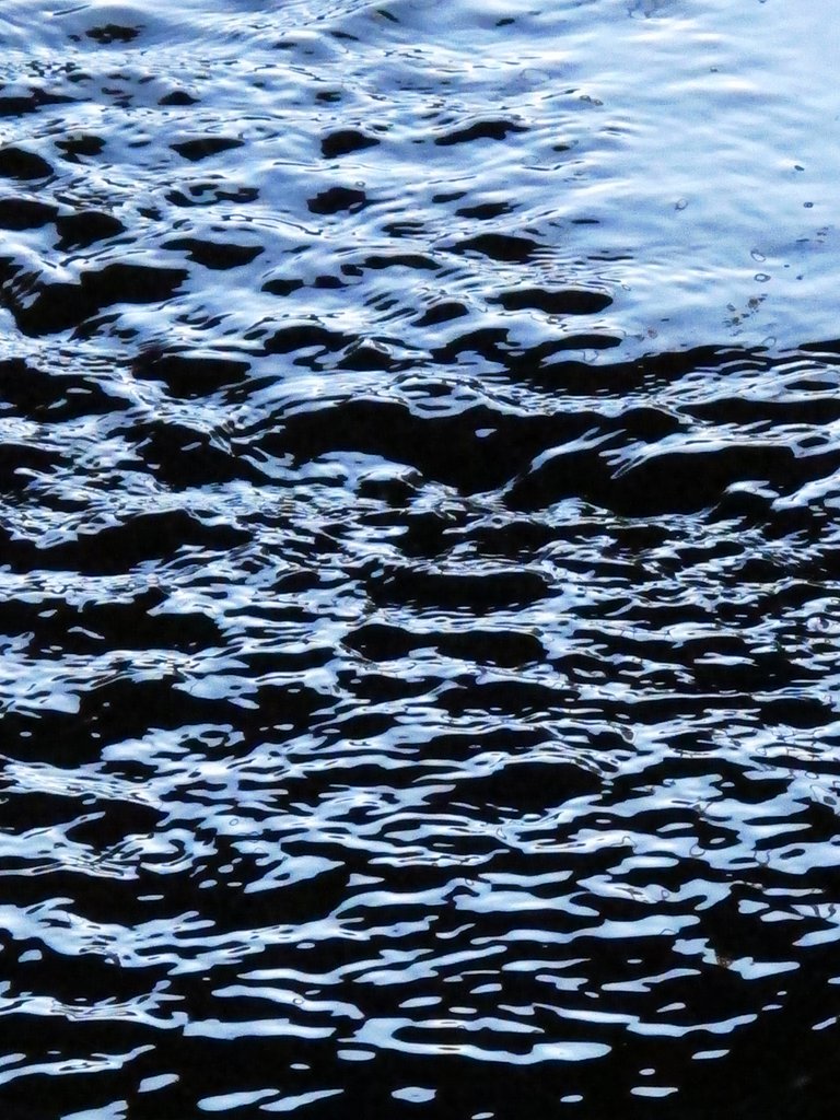 疎水-元写真