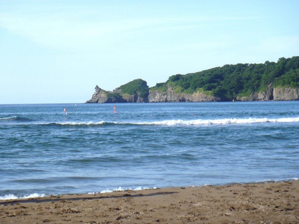 海2