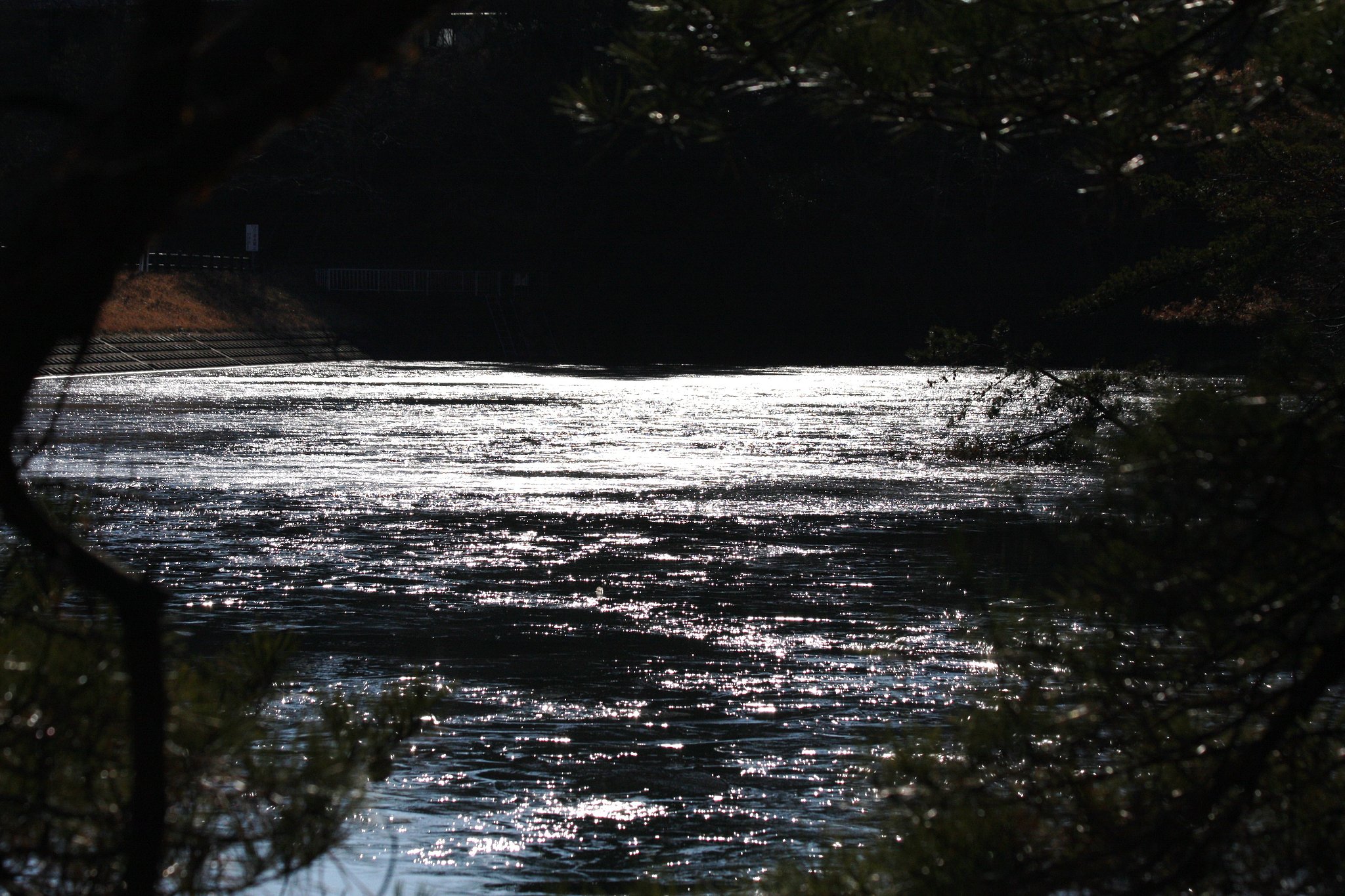 氷結した湖面