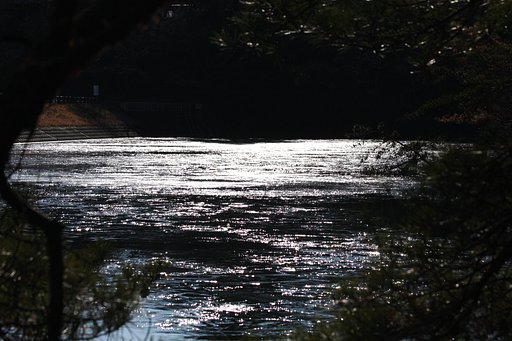 氷結した湖面