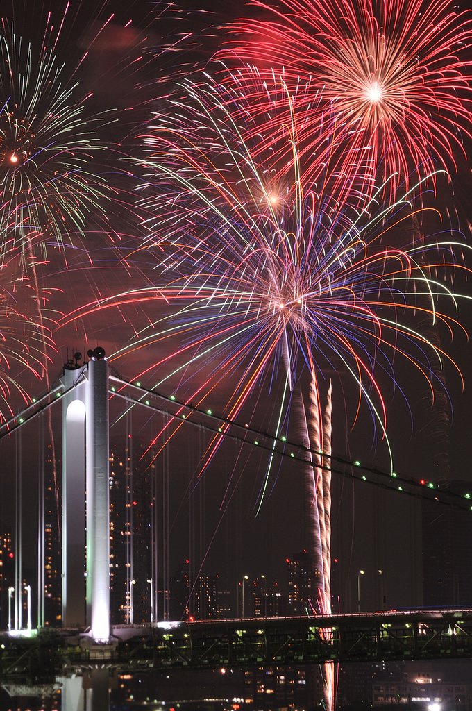 今年は断念！