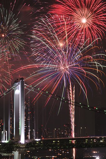 今年は断念！