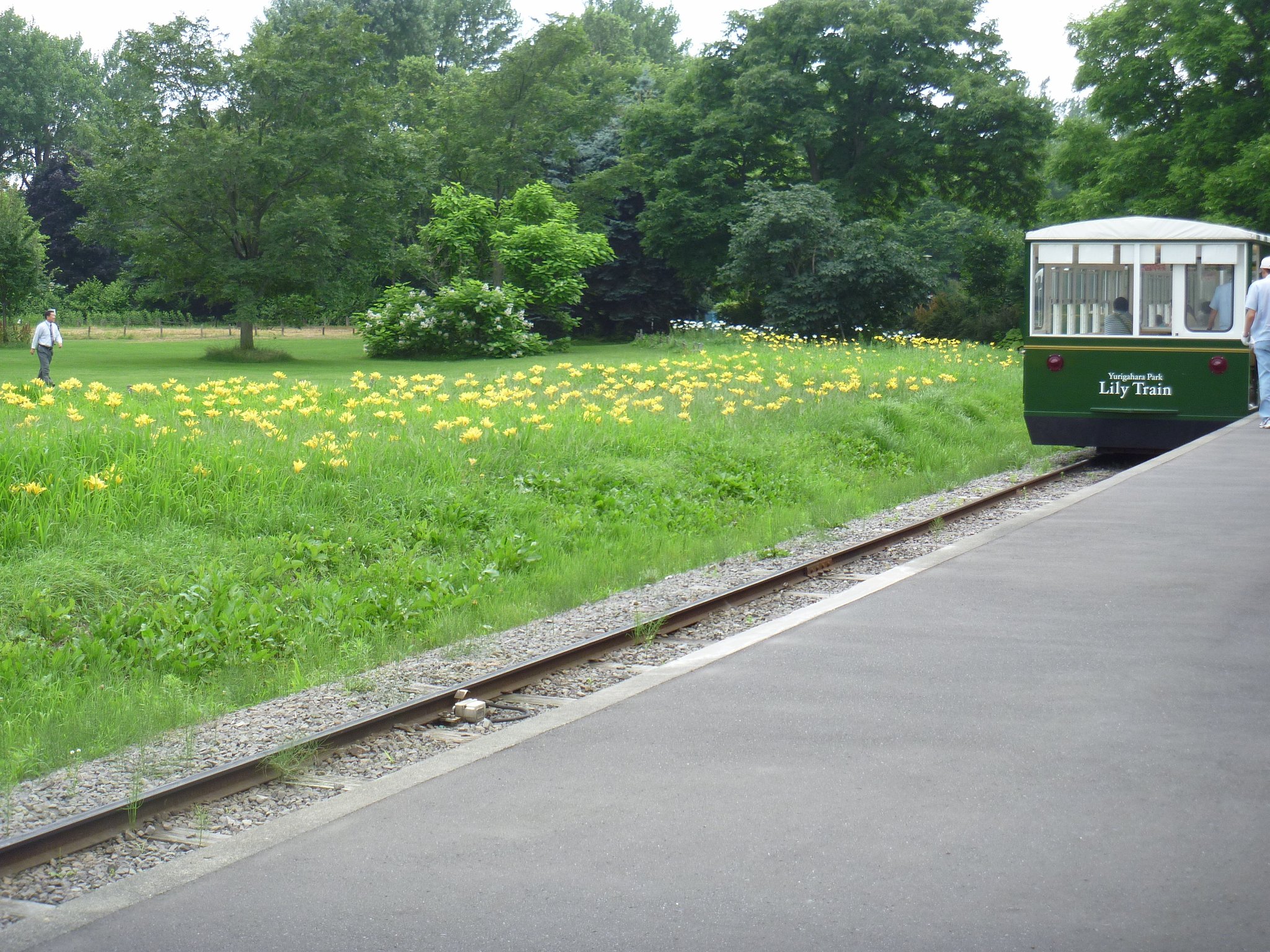 公園3