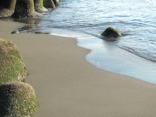浜辺の春