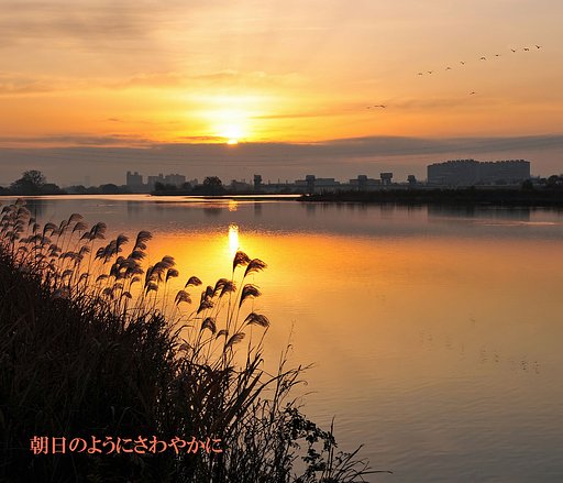 【この一曲】朝日のようにさわやかに