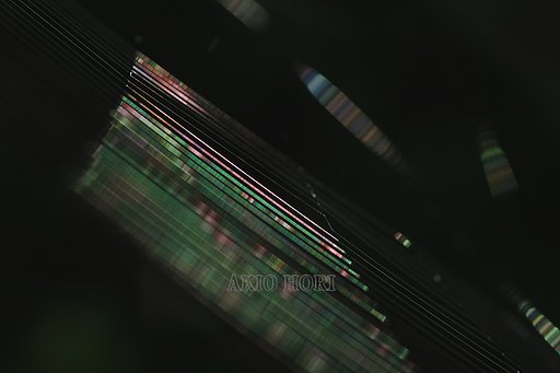 クモの糸、その小宇宙。