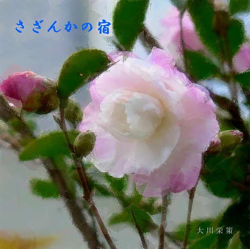 【この一曲】さざんかの宿