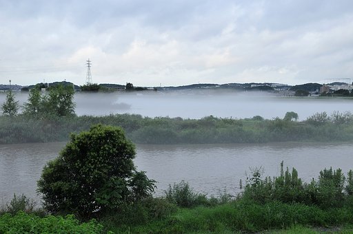 川霧の朝