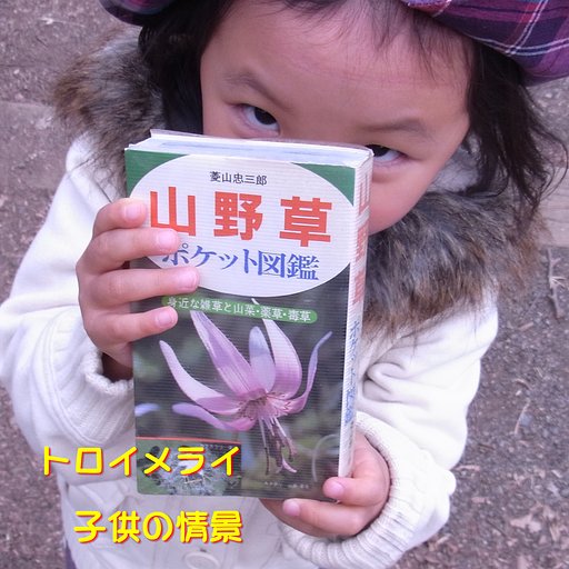 【この一曲】トロイメライ（子供の情景）