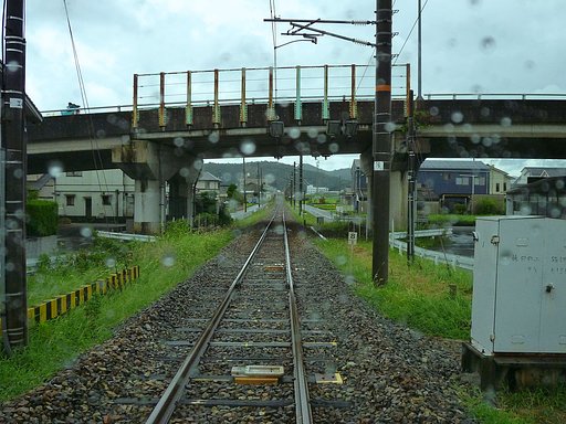 【長】過ぎて全部は・・