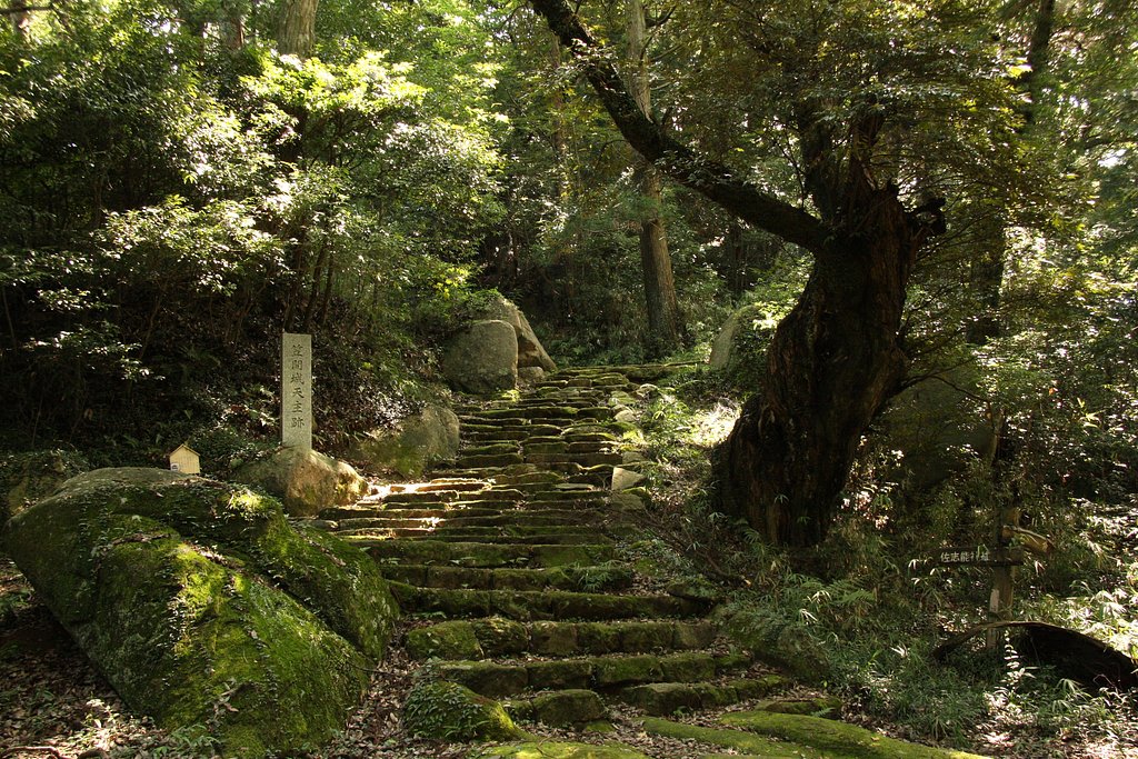 古城　天守への階段