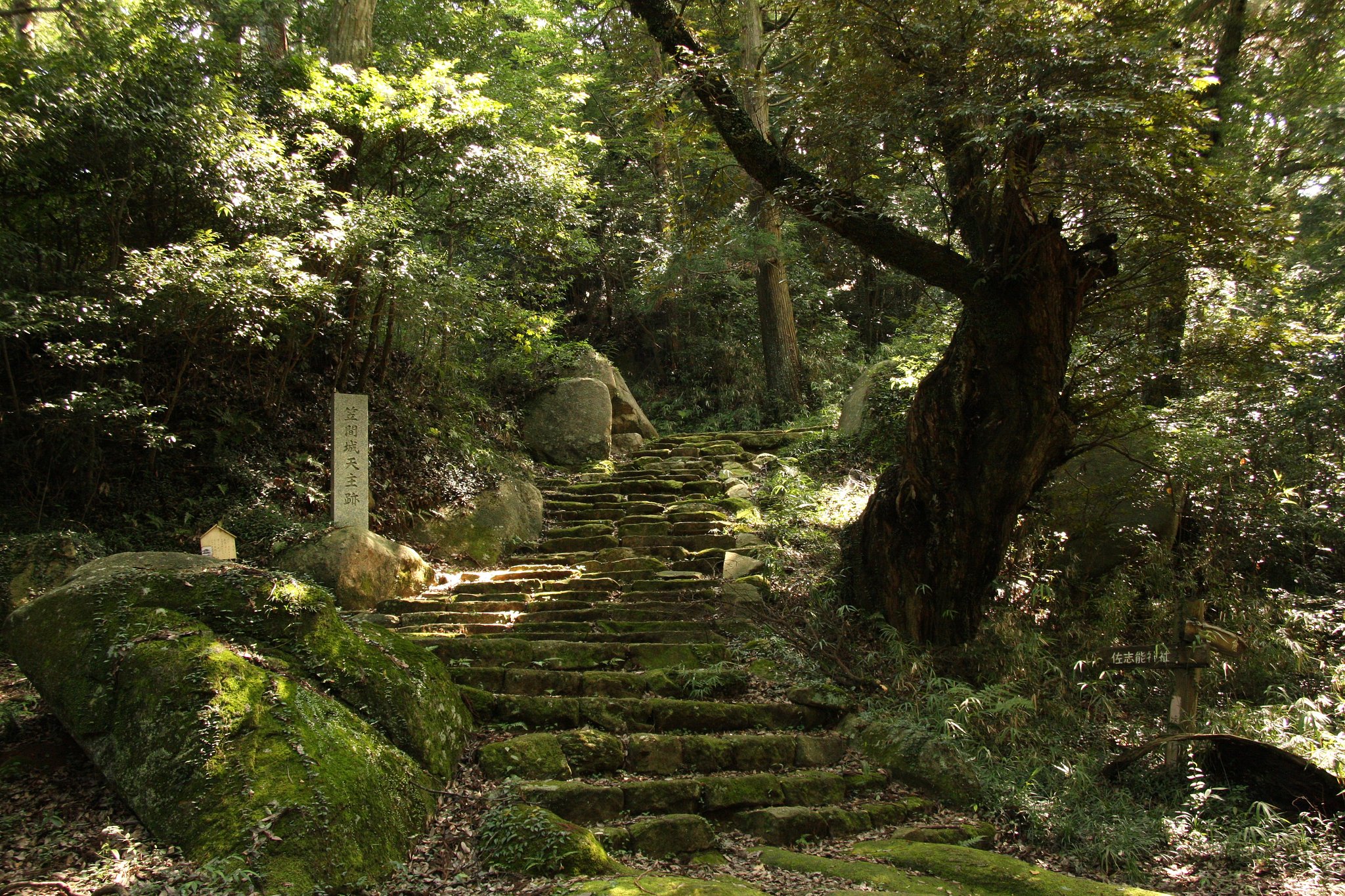 古城　天守への階段