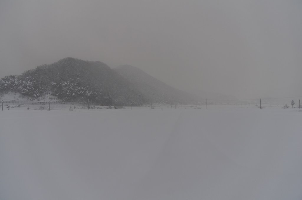 今朝は吹雪です。