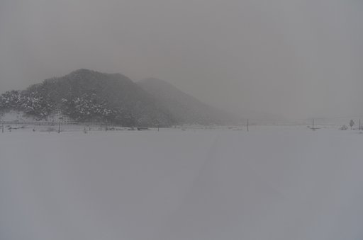 今朝は吹雪です。