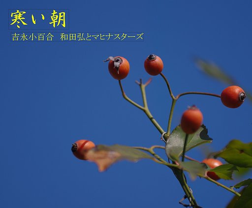 【この一曲】寒い朝