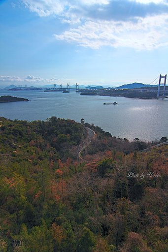今日は西