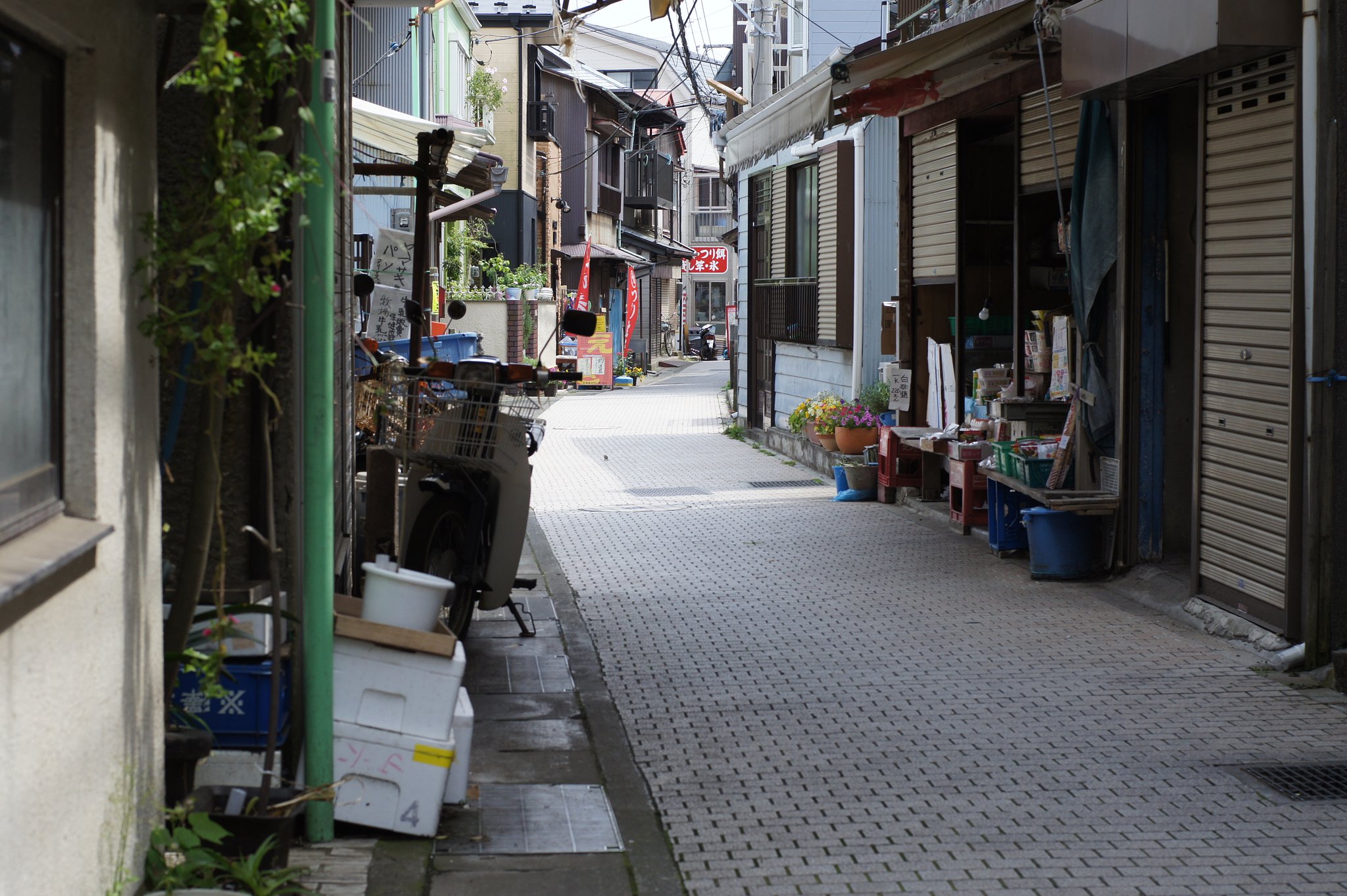 江の島の路地裏で・・・