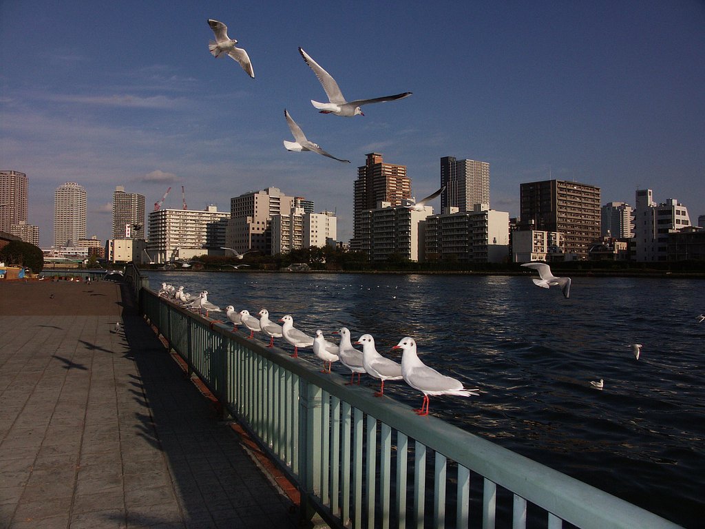 おじゃまします。