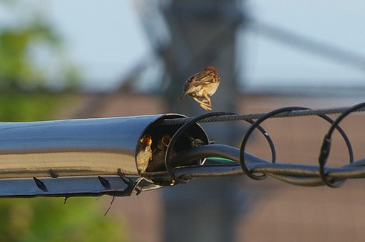 おっとすべった！