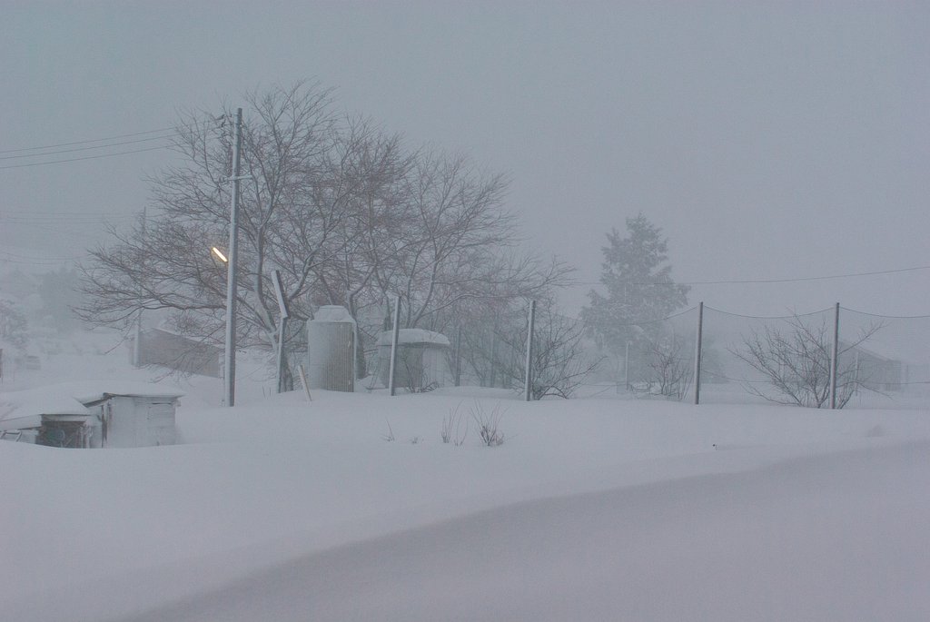 大雪の公園・・