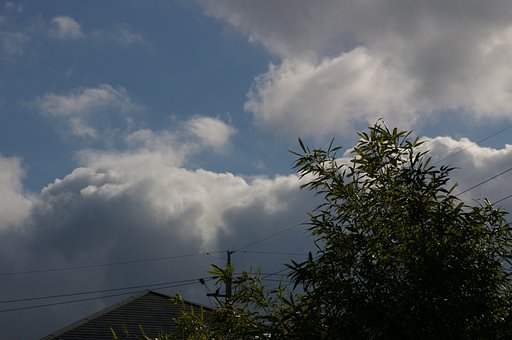 久しぶりに青空
