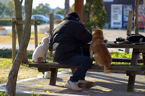 【逆】実は仙人さまのようなわたし