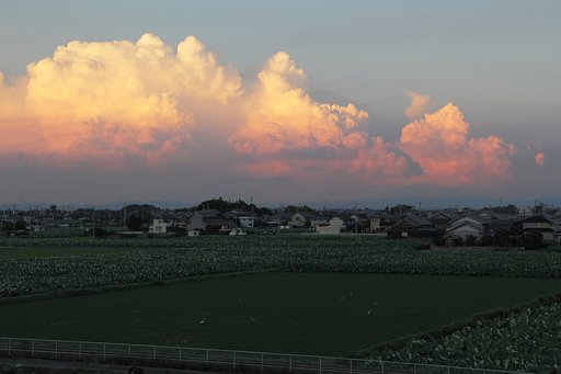 赤く染まる積乱雲