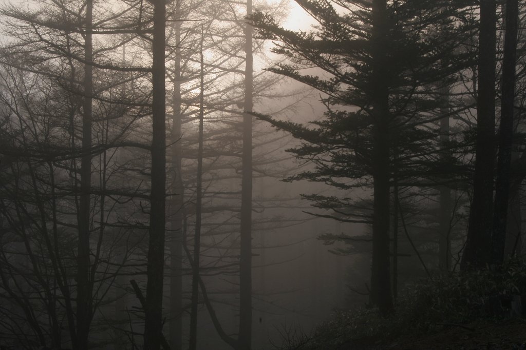 淡色秋山