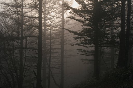 淡色秋山