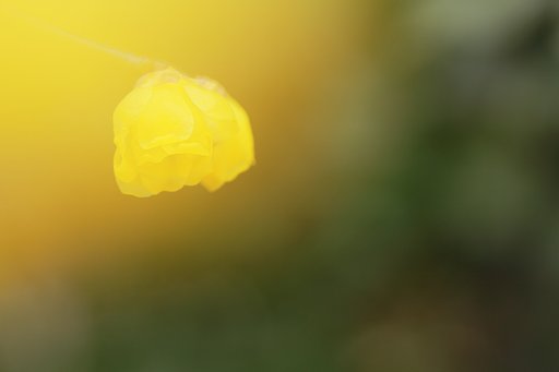少しだけの春