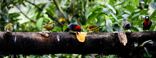 Costa Rica 18