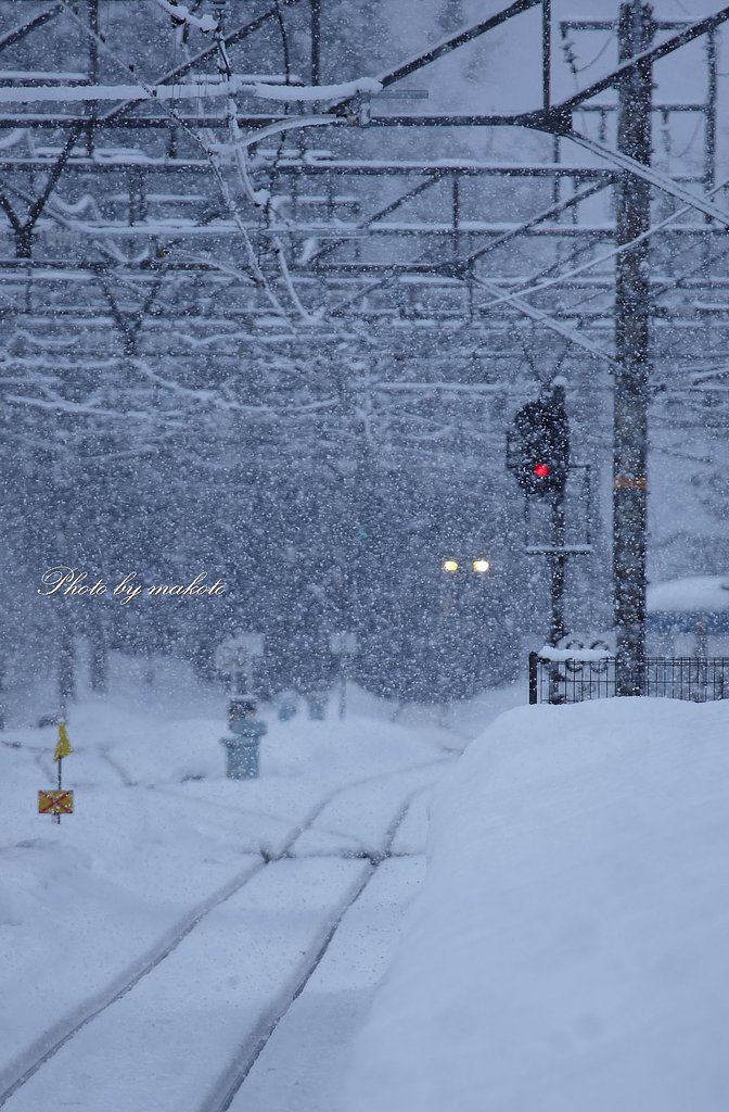 雪の日