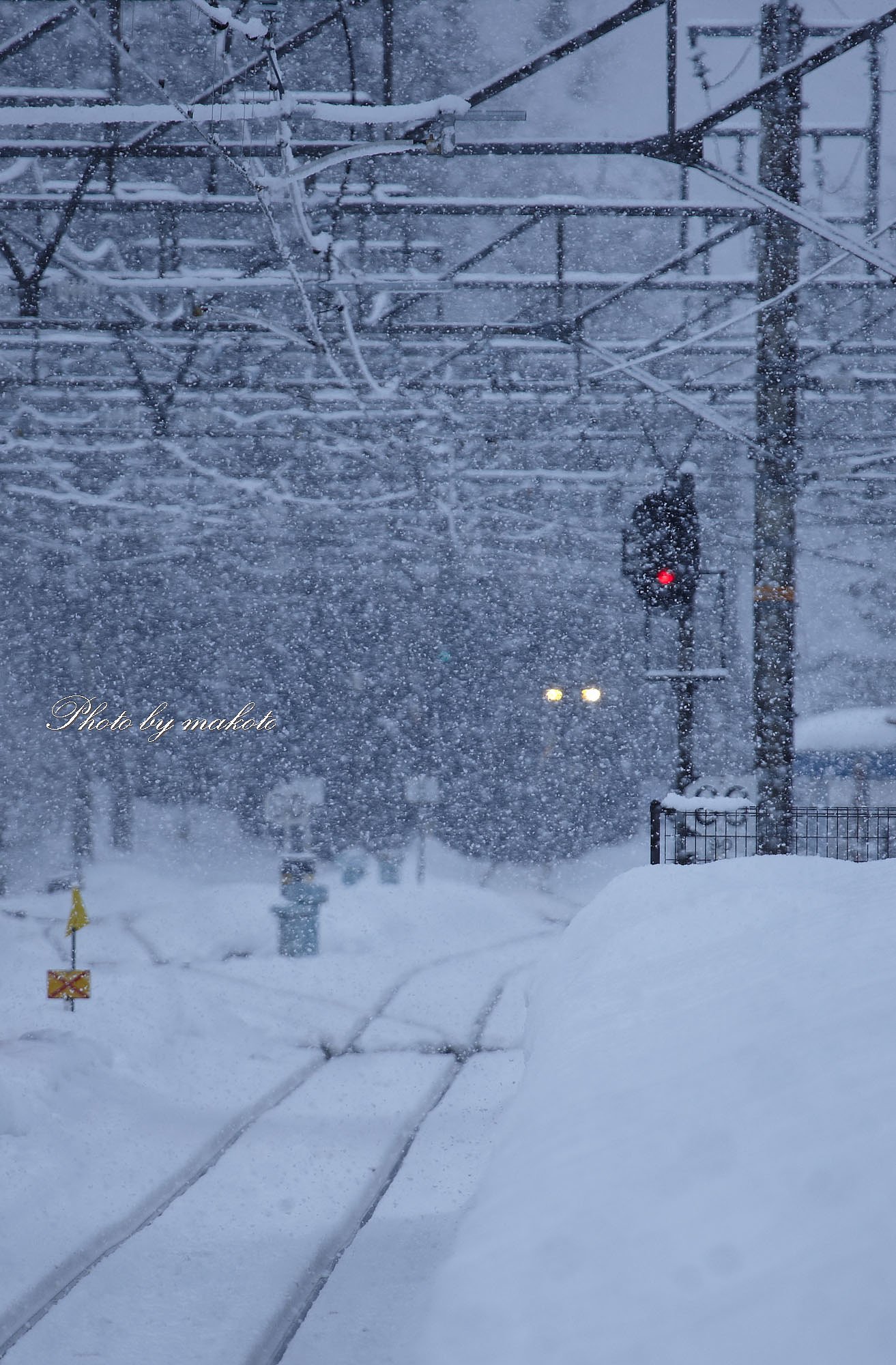 雪の日