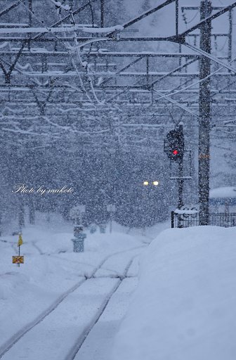 雪の日