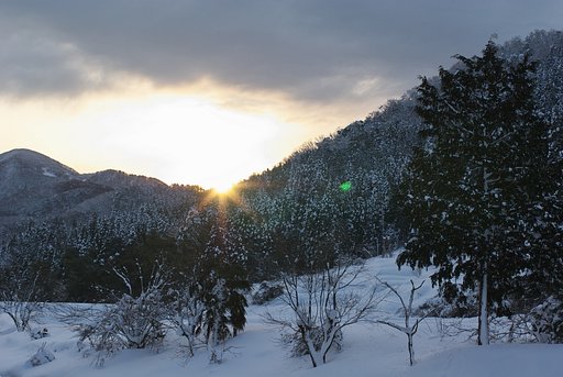 久しぶりの朝日の出!