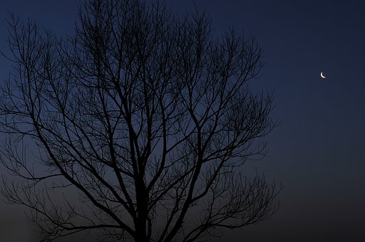 【わびさび】細い月