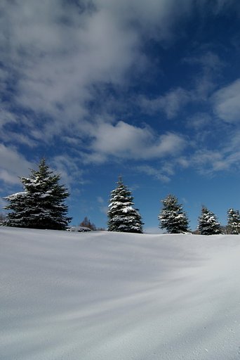 吹雪一過