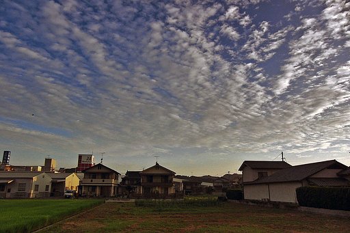 早朝の空