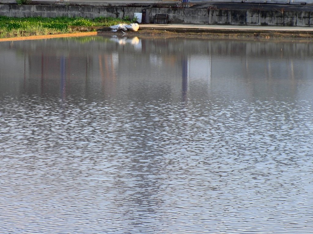 雨上がり