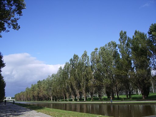 公園4