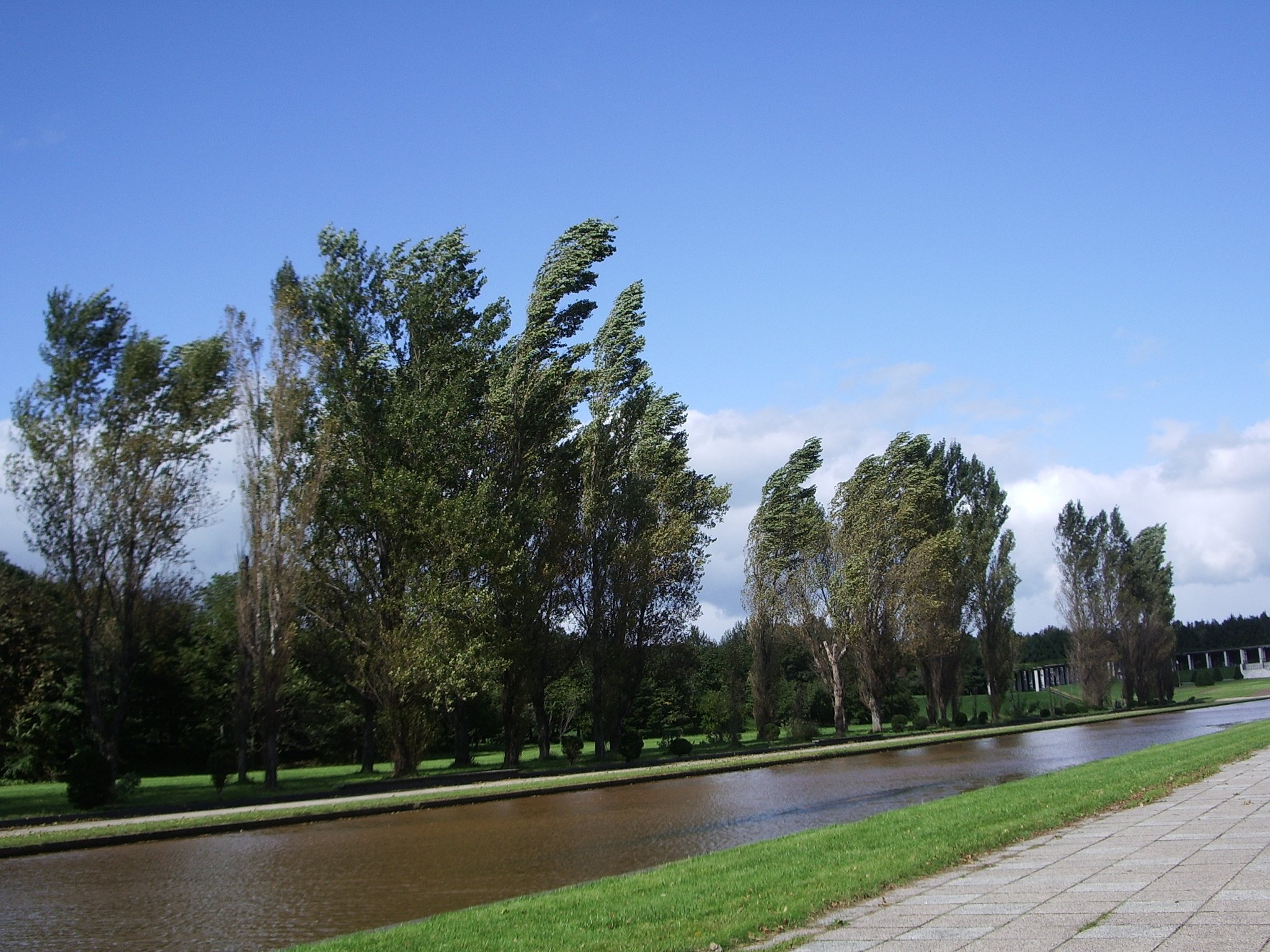 公園5