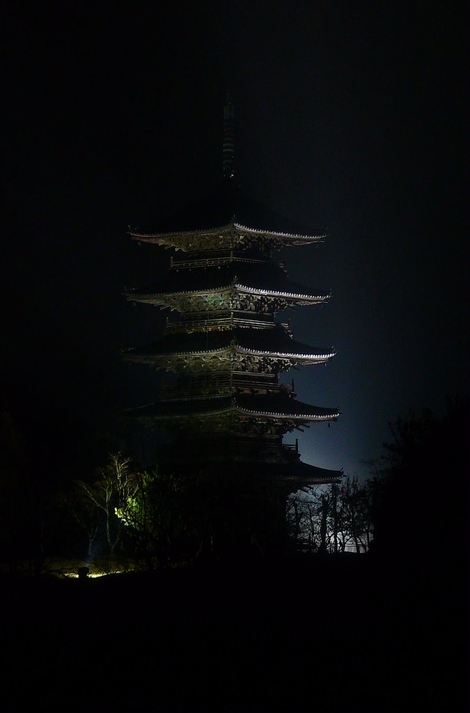 霧雨のライトアップ
