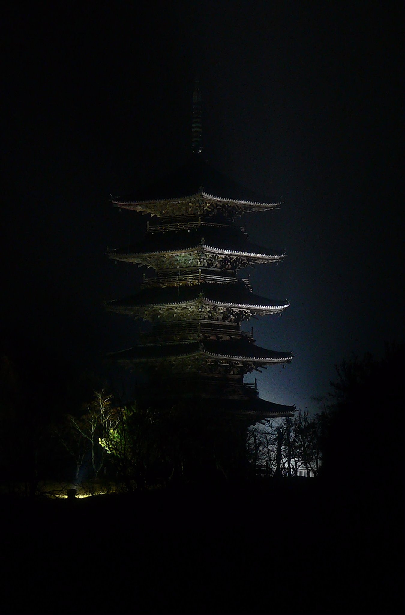 霧雨のライトアップ