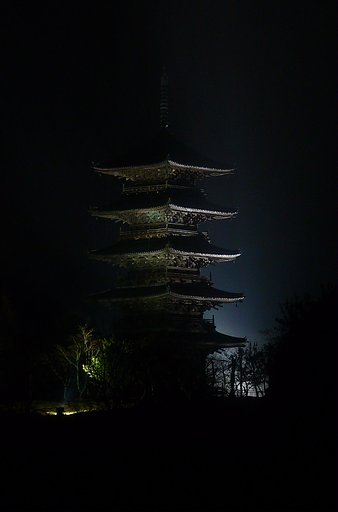 霧雨のライトアップ