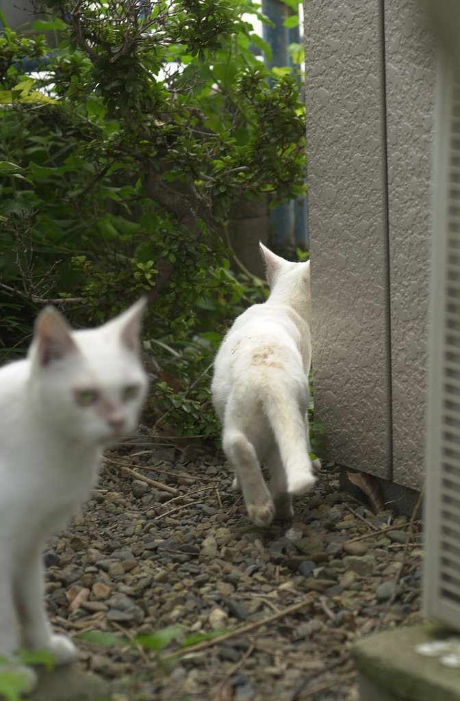 取材写真(。・人・`。))ゴメン