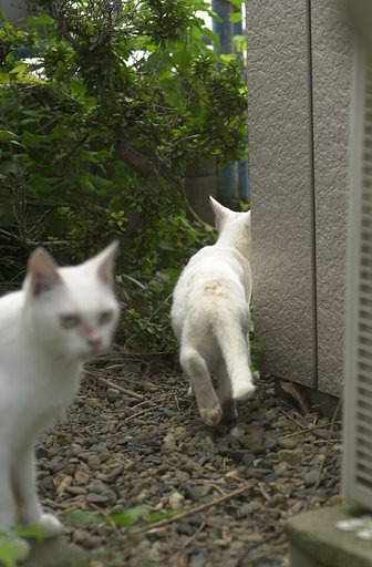 取材写真(。・人・`。))ゴメン