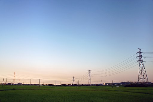 渋滞中
