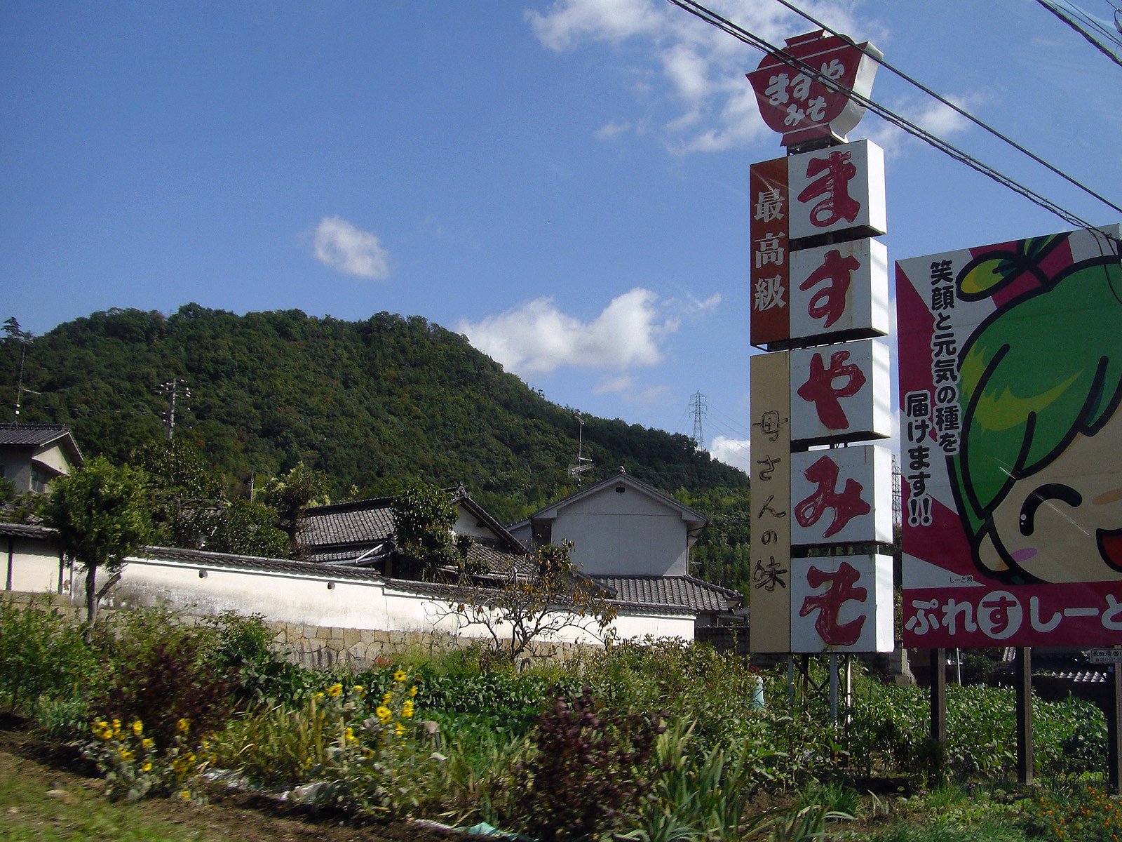 国道沿い看板