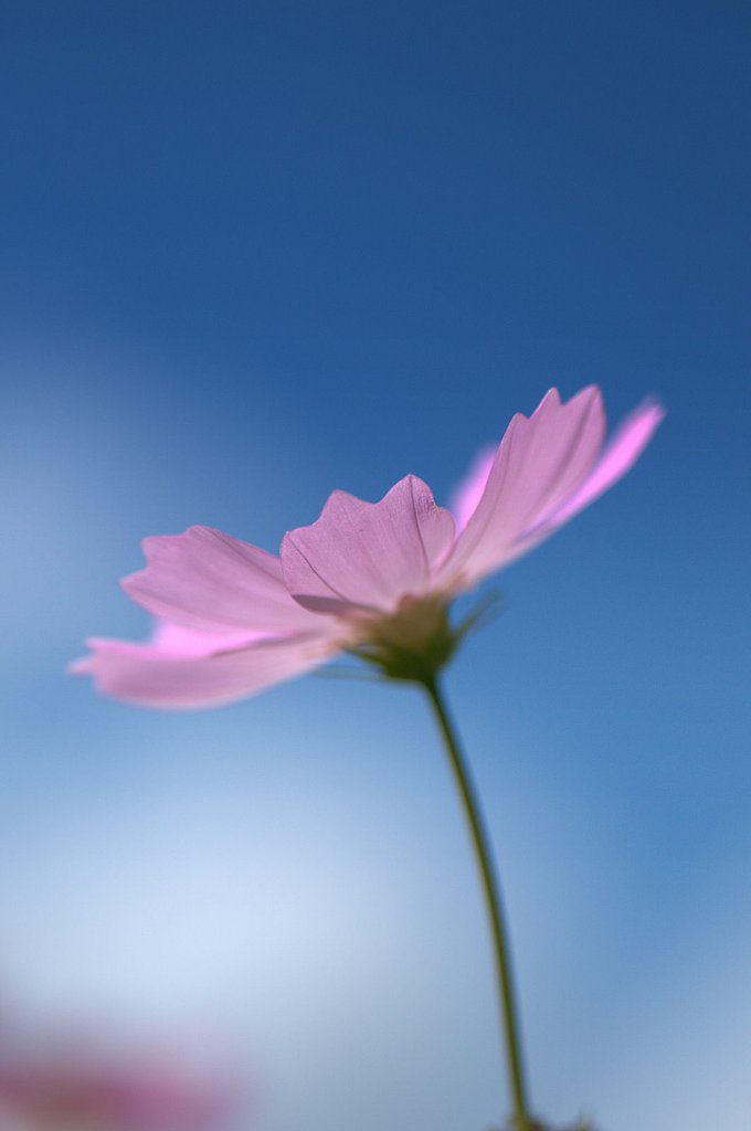 さわやかな［空］
