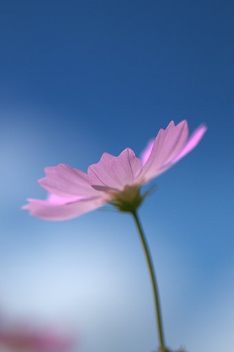さわやかな［空］